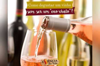 Como Degustar Um Vinho, Sem Ser Um “Eno-Chato”