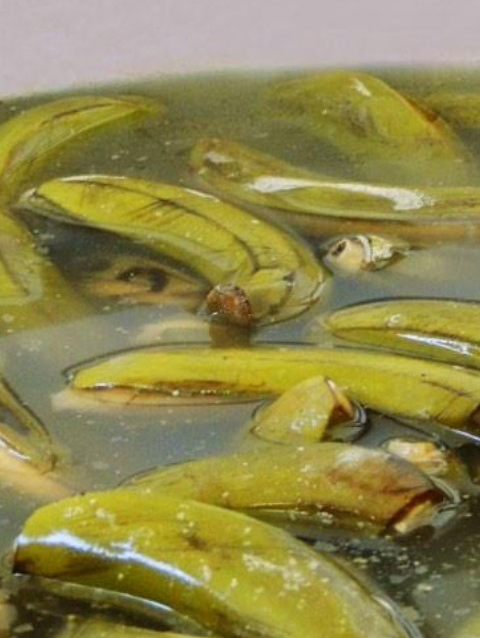 Bio Massa de Banana Verde